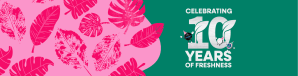No Pong 10th Birthday Website Banner